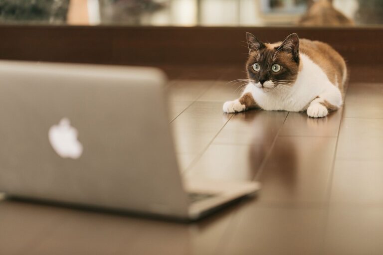 マイクなしでもチャットレディはできる！ただし1つ注意したいことが……。