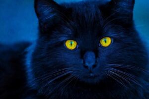 チャットレディが「危険」と言われる5つの理由。リスクを避けて安全に稼ぐには