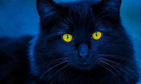 チャットレディが「危険」と言われる5つの理由。リスクを避けて安全に稼ぐには