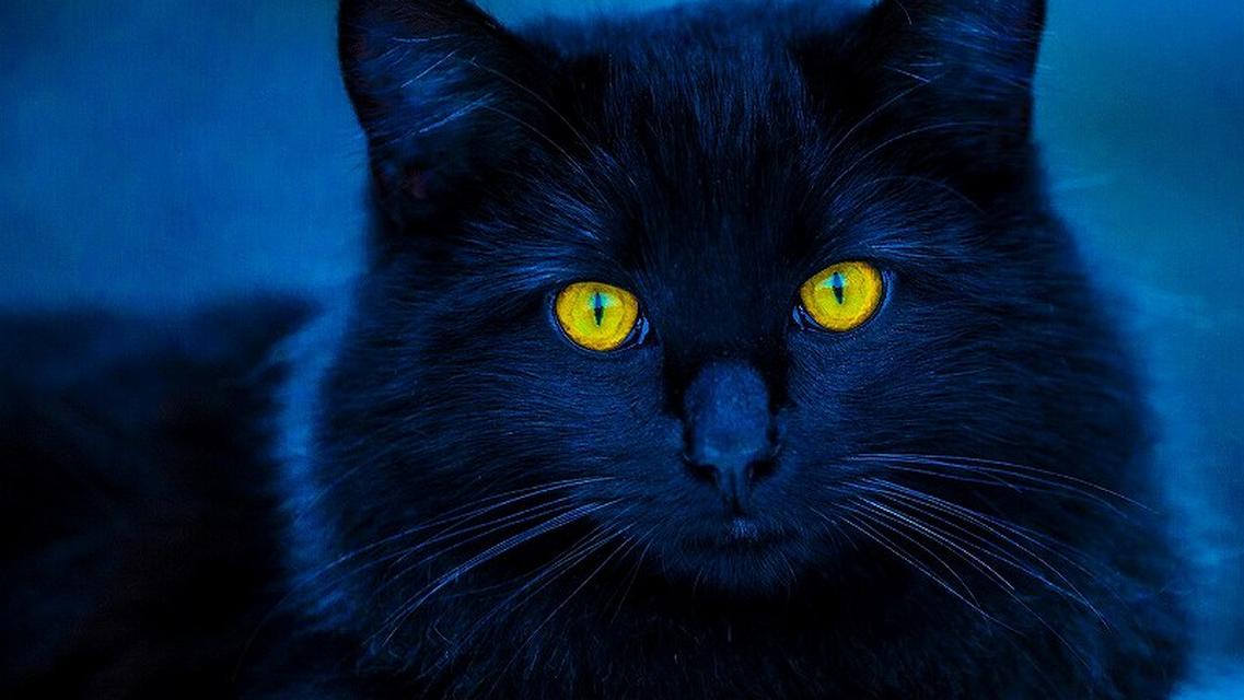 チャットレディが「危険」と言われる5つの理由。リスクを避けて安全に稼ぐには