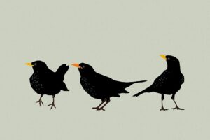 チャットレディのスランプ、原因はどれ？タイプ別の抜け出し方