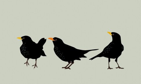 チャットレディのスランプ、原因はどれ？タイプ別の抜け出し方