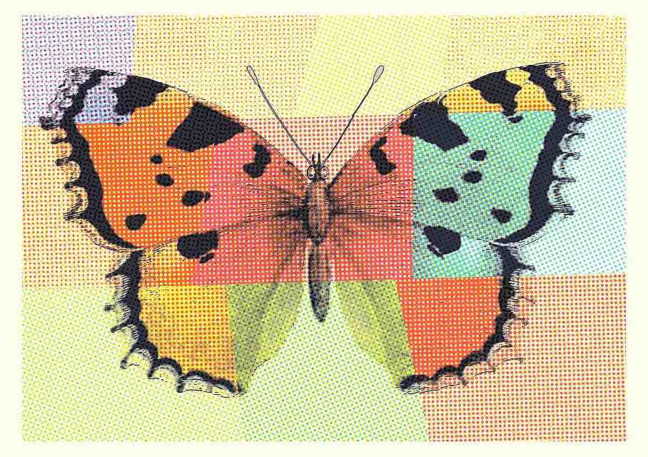 Stripchatで無断転載された映像は消せるのか。削除請求の手順と現実的な対処法